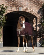 Horseware Amigo NET COOLER sieťovaný koberec 145 cm