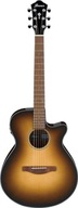 Elektroakustická gitara Ibanez AEG50-DHH