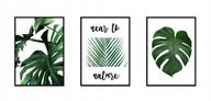 OBRAZY, PLAGÁTY V RÁME 33x43cm Triptych Nature P547 OBRAZY, PLAGÁTY V RÁME 33x43cm Triptych Nature P547