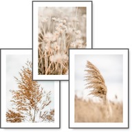 BOHO sada 3 obrazov 30x40 plagát NATURE GRASS #12 BOHO sada 3 obrazov 30x40 plagát NATURE GRASS #12