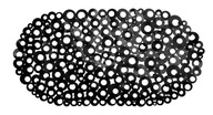 Protišmyková podložka 69x38 cm, prísavky, čierna