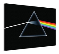 Obraz Pink Floyd Dark Side Of The Moon 50x40 cm
