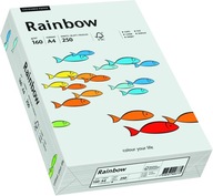 Farebný papier Rainbow A4 160g 250k sivý (R93)