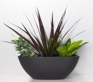 Antracitový obal na loď Scheurich miska s orchideami Antracitový obal na loď Scheurich miska s orchideami