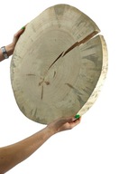 DREVA DREVA 40-45 cm gr 5,0 servírovacia doska DREVA DREVA 40-45 cm gr 5,0 servírovacia doska