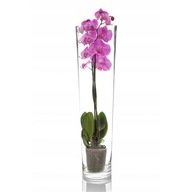 KONISZ sklenená váza v-70cm
