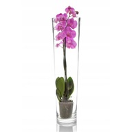 KONISZ sklenená váza v-70cm KONISZ sklenená váza v-70cm