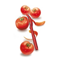 Victorinox škrabka 7.6075.1, univerzálna Victorinox škrabka 7.6075.1, univerzálna