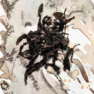 Slávnostný čaj Oolong China Shan Gan Cha 25g