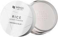 AA WINGS OF COLOR Zmatňujúci prášok z ryže sypký 9 g AA WINGS OF COLOR Zmatňujúci prášok z ryže sypký 9 g