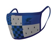 Harry Potter Havraspár ochranné masky 2x Harry Potter Havraspár ochranné masky 2x