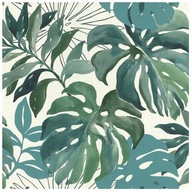 VINYLOVÁ TAPETA TAPETA MONSTERA LISTY VINYLOVÁ TAPETA TAPETA MONSTERA LISTY