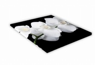 SKLENENÁ KUCHYŇSKÁ DOSKA 25x25 438e Biela orchidea SKLENENÁ KUCHYŇSKÁ DOSKA 25x25 438e Biela orchidea