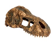 Malá skrýša lebka tyranosaura T-REX SKULL Exo Terra EX-8602 Malá skrýša lebka tyranosaura T-REX SKULL Exo Terra EX-8602