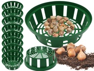 KOŠÍK CIBUĽA ZAKRÝVAJÚCE KVETINY cibuľky do košíčkov 22cm 10 ks KOŠÍK CIBUĽA ZAKRÝVAJÚCE KVETINY cibuľky do košíčkov 22cm 10 ks