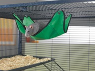 Savic Hammock Relax STANDARD pre fretky a hlodavce Savic Hammock Relax STANDARD pre fretky a hlodavce