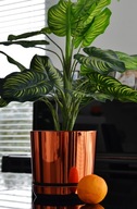 Obal 18 ORANŽOVÝ, moderný, elegantný, LESK neo Obal 18 ORANŽOVÝ, moderný, elegantný, LESK neo
