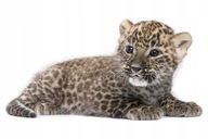 Samolepky zvieratiek Leopardie mláďa 15 Samolepky zvieratiek Leopardie mláďa 15