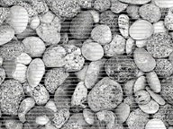 Kúpeľňová predložka Pebbles Grey Stones 110x65 cm Kúpeľňová predložka Pebbles Grey Stones 110x65 cm