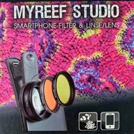 ARK MYREEF STUDIO