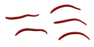 Uhlový červ 5 cm Red Wiggler Gulp! Živý Berkley x60