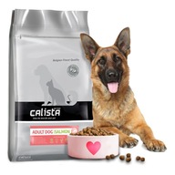 SUCHÉ KRMIVO PRE PSA S LOSOSOM 12 KG CALISTA SUCHÉ KRMIVO PRE PSA S LOSOSOM 12 KG CALISTA
