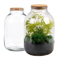 SKLENENÁ VÁZA 3000ml s KORKOVÝM LESOM v SKLE SKLENENÁ VÁZA 3000ml s KORKOVÝM LESOM v SKLE
