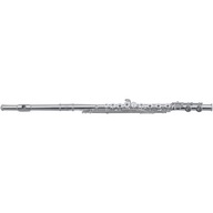 Priečna flauta C Roy Benson FL-602RE