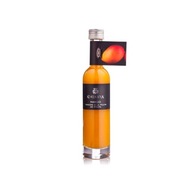 Dresing s príchuťou manga na báze vínneho octu 100 ml Dresing s príchuťou manga na báze vínneho octu 100 ml