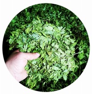 Záhrada LOVAGE. Záhrada LOVAGE.
