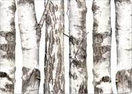 Prestieranie - BREZA - 29 cm x 42 cm Prestieranie - BREZA - 29 cm x 42 cm