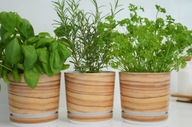 Kvetináče HERBS SET set, imitácia bambusu Kvetináče HERBS SET set, imitácia bambusu