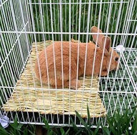 EKOLOGICKÁ PODLOŽKA pre hlodavce škrečka králika 80x90