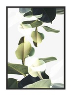 OBRAZOVÝ PLAGÁT V RÁME 53x73 cm Listy P844 OBRAZOVÝ PLAGÁT V RÁME 53x73 cm Listy P844