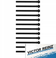 SKRUTKY HLAVY 12 KS REINZ pre VOLVO S80 II 2.5