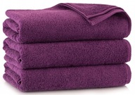 ZWOLTEX uterák KIWI 2 fialový 50x100 EGYPTSKÁ BAVLNA ZWOLTEX uterák KIWI 2 fialový 50x100 EGYPTSKÁ BAVLNA
