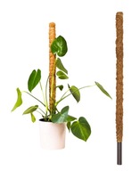 Kokosová podpera na tyč pre rastliny 80 cm