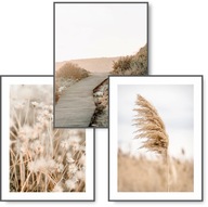 BOHO sada 3 obrazov 30x40 plagát NATURE GRASS #13 BOHO sada 3 obrazov 30x40 plagát NATURE GRASS #13