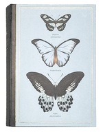 Rakva motýľov, kniha, škatuľka malej knižky