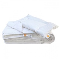 HOLLOFIL ALLERBAN 100x135+40x60 Detská súprava HOLLOFIL ALLERBAN 100x135+40x60 Detská súprava