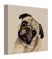 Mops Dog Šteniatko - maľba na plátne 30x30 cm