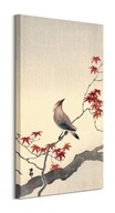 Japonský obraz Waxwing od Koson Ohara 30x60 cm Japonský obraz Waxwing od Koson Ohara 30x60 cm