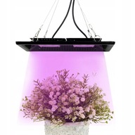Grow Light 100W lampa na rast rastlín