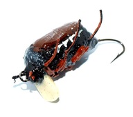 Chrobák chrobák, ručne vyrobený vobler. 3g ultraľahký