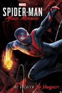 Nástenný plagát z filmu Spider-Man 61x91,5 cm Nástenný plagát z filmu Spider-Man 61x91,5 cm