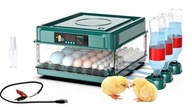 Inkubátor 48 vajec Automatický prívod vody 230/12V Inkubátor 48 vajec Automatický prívod vody 230/12V