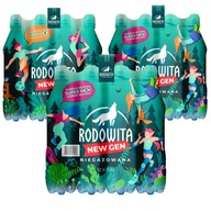 RODOWITA minerálna neperlivá voda Sport 36x 0,6l RODOWITA minerálna neperlivá voda Sport 36x 0,6l