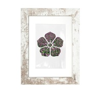Ozdobný rám NEO biely bielený 20x28 PASS-P Ozdobný rám NEO biely bielený 20x28 PASS-P