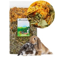 Základná zmes 500G Factoryherbs Delications Mixum 0,5 kg pre hlodavce Základná zmes 500G Factoryherbs Delications Mixum 0,5 kg pre hlodavce