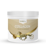 HorseLinePRO Kolagén typ II 300g kĺby HorseLinePRO Kolagén typ II 300g kĺby